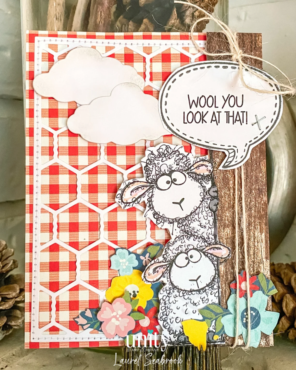 Wool You Look at That