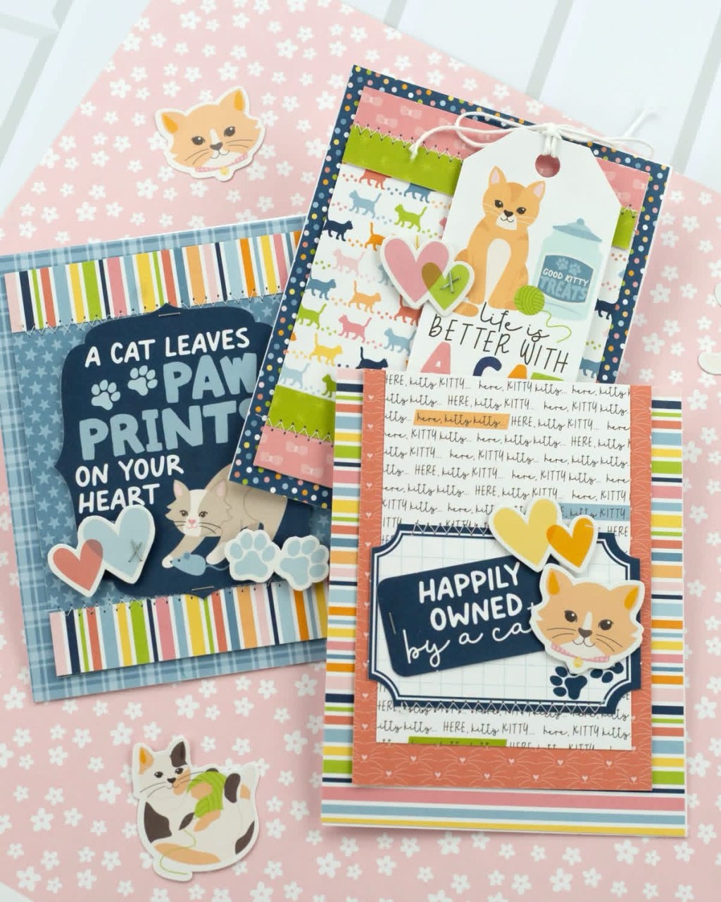 Cat Lover
